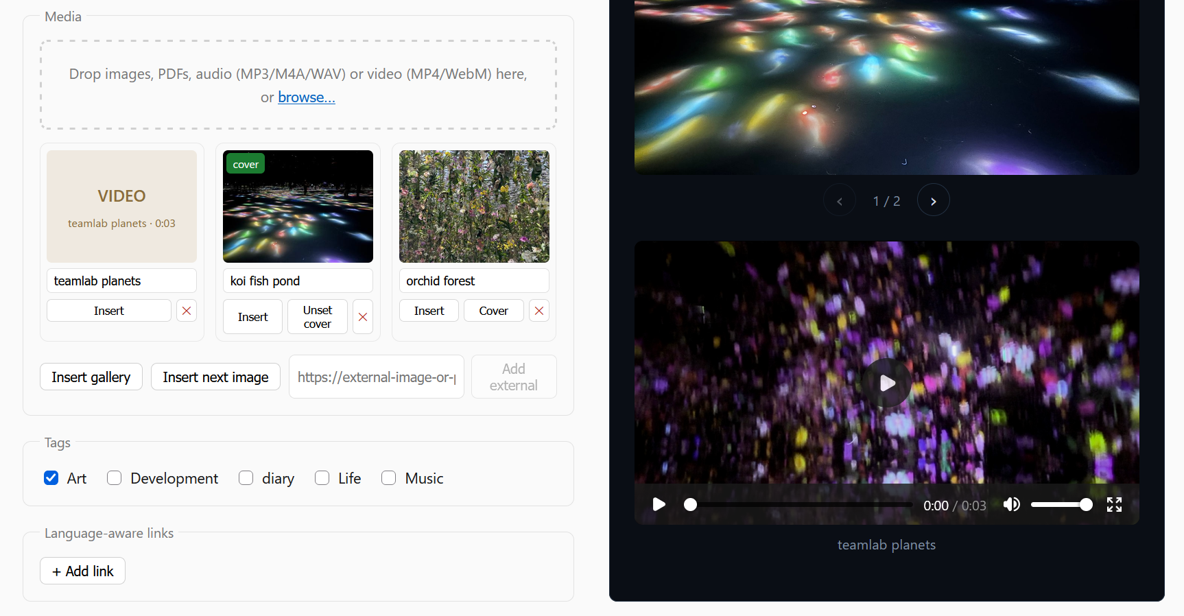 video preview